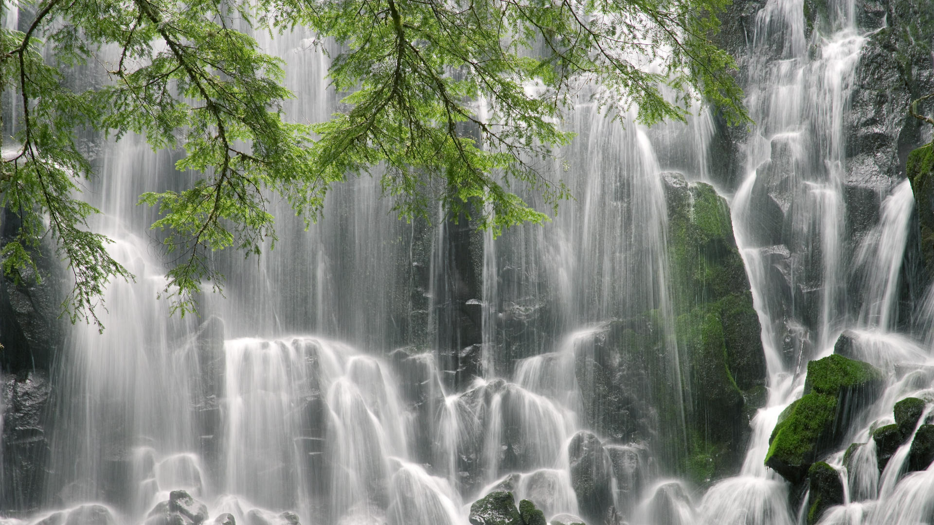_水上漂移车赛:速度、水花齐飞_,水上漂移作文
