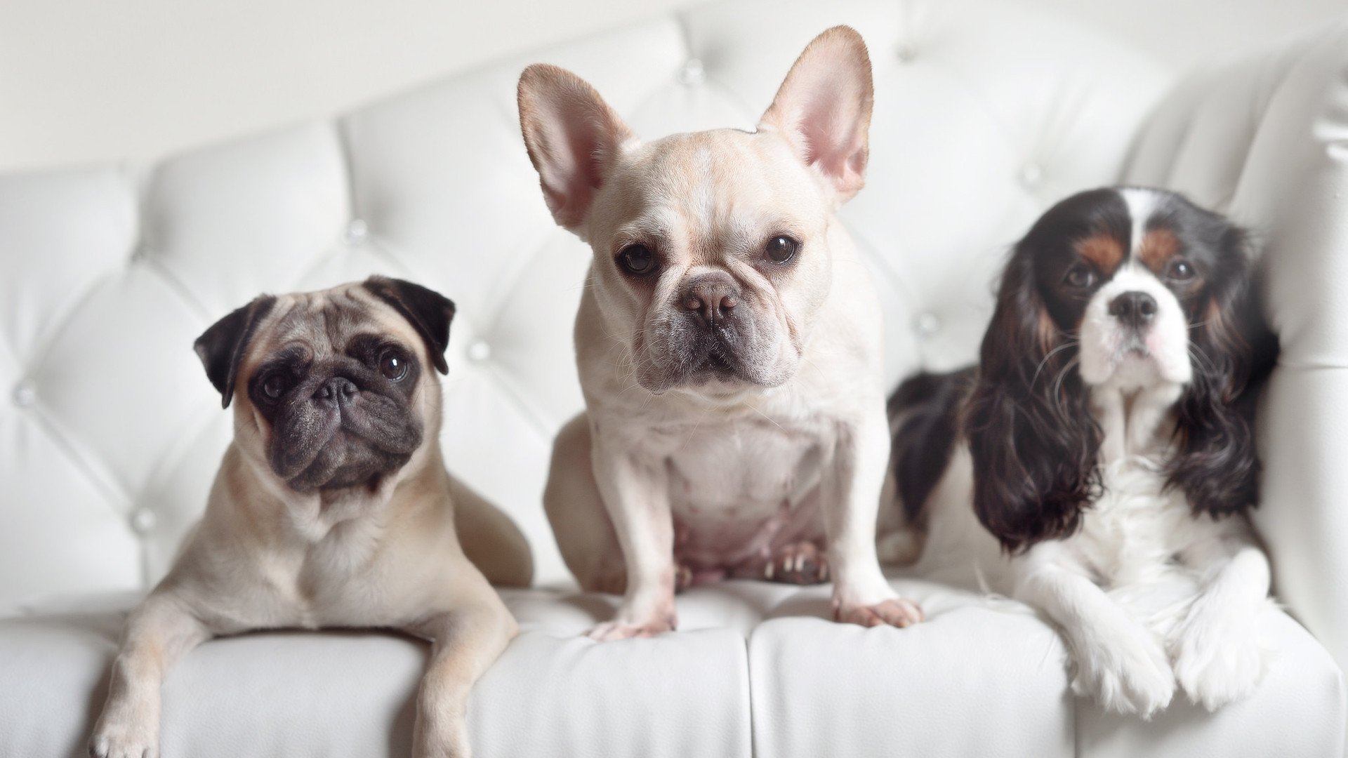 【传奇重现】奥沙利文如何保持竞技状态？训练细节曝光，奥沙利文解说