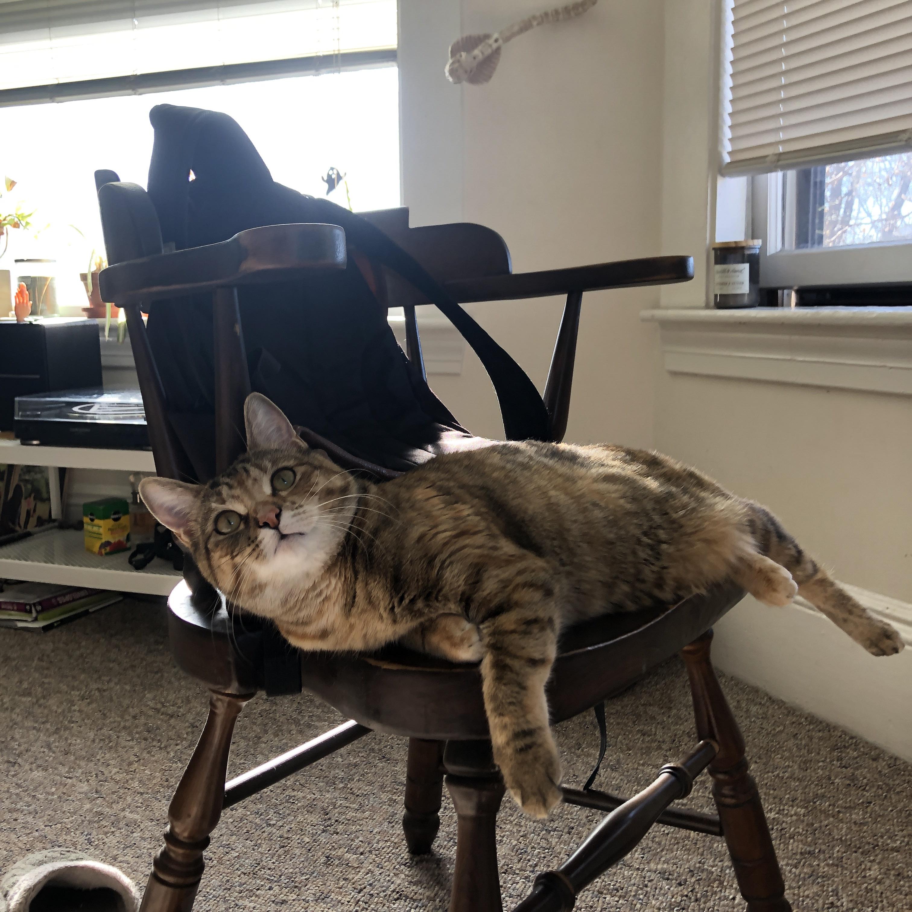 新秀冲击：未来联盟的领路人，新秀阵容